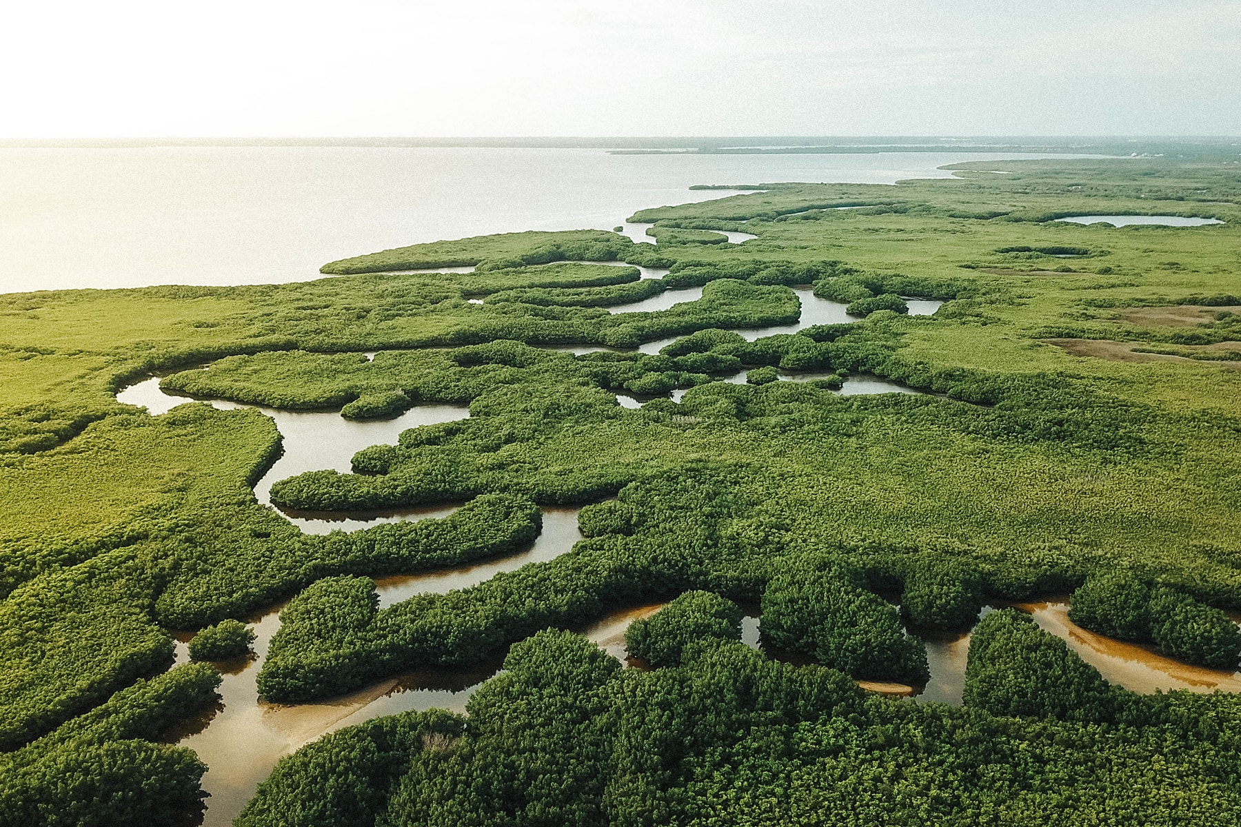 aerial view of everglades 