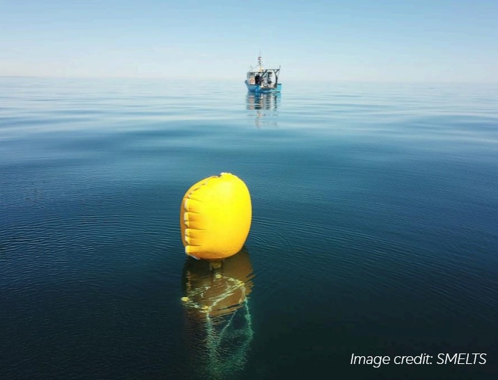 Publix and Sustainable Fisheries Partnership make waves together