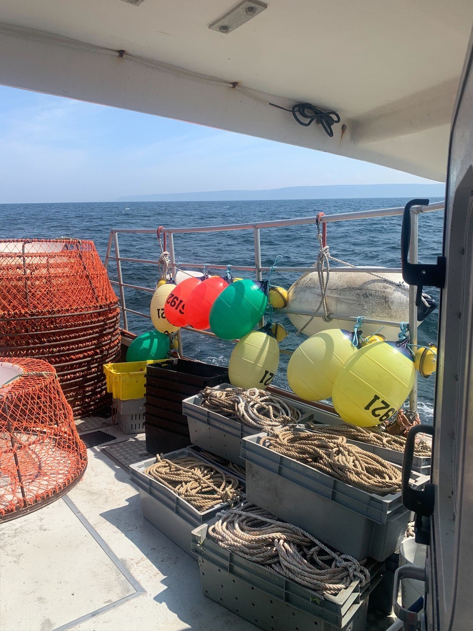 Publix is ‘casting’ its support for healthy oceans with Sustainable Fisheries Partnership – Publix