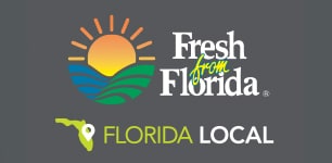 Florida Local state icon