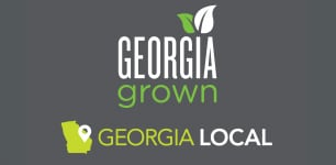 Georgia Local state icon