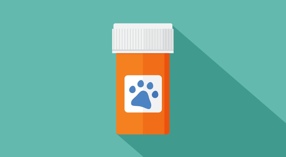 Choose Publix Pharmacy for your pet’s meds.