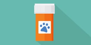 pill bottle with paw print logo