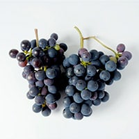 pinot grigio grapes