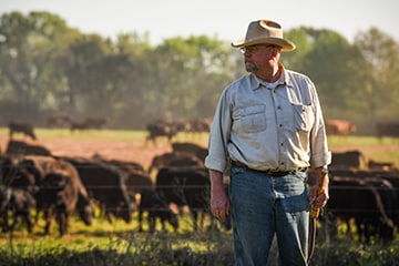 A farmer wearing a hat and a long-sleeved shirt stands in a field at White Oak Pastures with a herd of cattle in the background.
