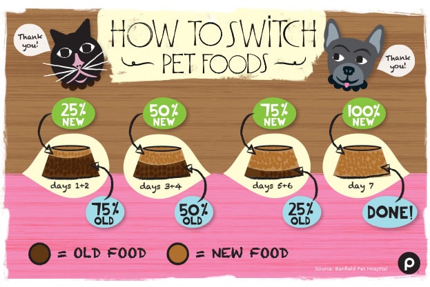 Switching Pet Food 