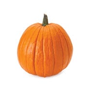 Pumpkin