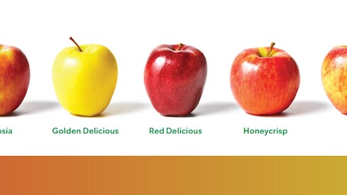 Apple flavor chart from sweet to tart 