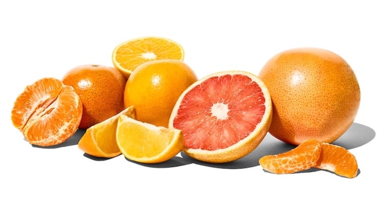 Fresh florida citrus 
