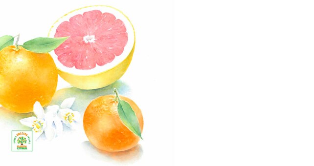 At Season's Peak Citrus