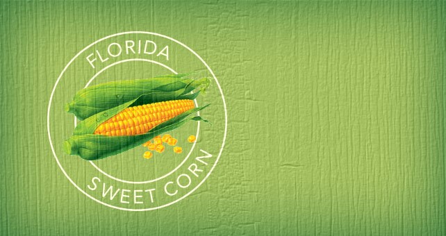 At Season's Peak Florida Sweet Corn