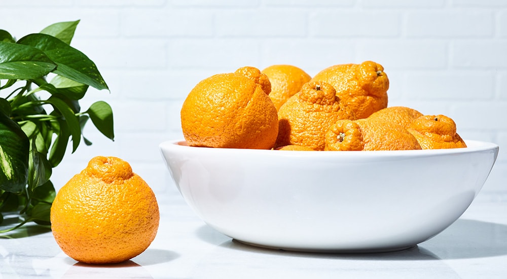 View of a bowl filled with tree-ripened and handpicked California Sumo Citrus.