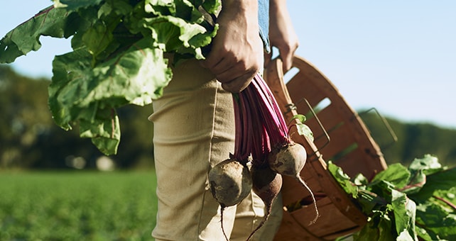 farmer holding beets and basket