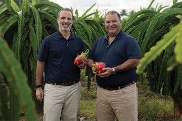 Two individuals standing in a dragon fruit orchard, each holding fresh dragon fruit on JC Tropicals farm. 
