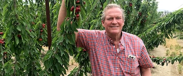 Farmer with a fruit tree
