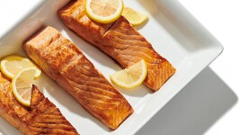 Salmon
