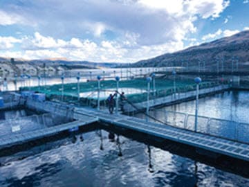 Two workers wearing life vests, pants, and boots stand on a network of floating scaffolding and nets in the Columbia River Gorge beneath partly cloudy skies that cast shadows upon the landscape.