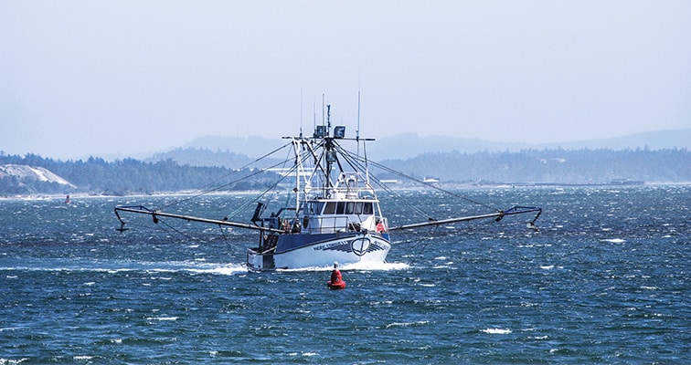 Fishing boat on the water