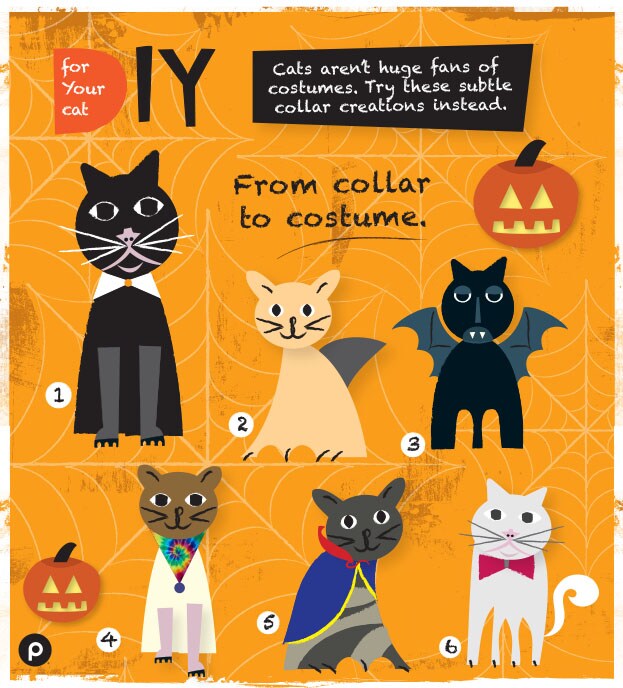 halloween costume diy infographic