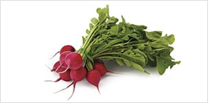 bunch of radishes with tops