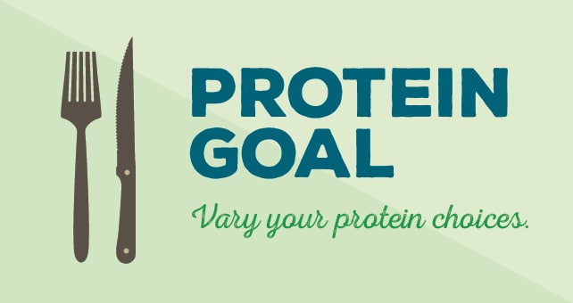 infographic about protein