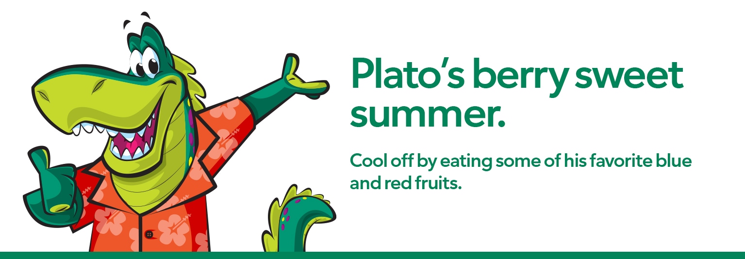 Plato's berry sweet summer. Cool off by eating some of his favorite blue and red fruits.