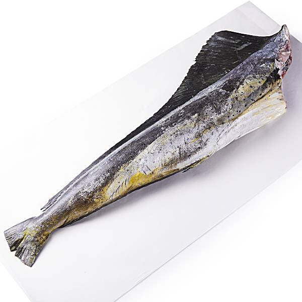 Whole Mahi Mahi, Small, Fresh, Wild, Responsibly Sourced Publix Super