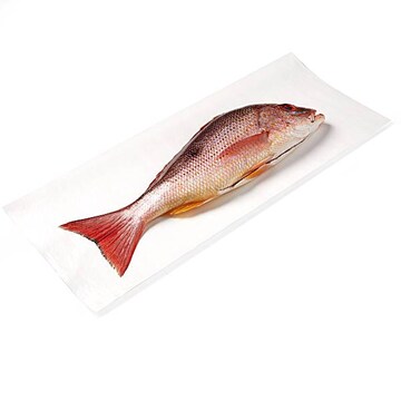 Whole Spotted Rose Snapper, Extra Small Fresh, Never Frozen, Wild Harvested