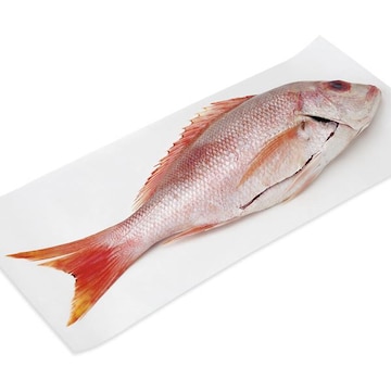 Caribbean Red Snapper, Whole, Small, Fresh, Wild