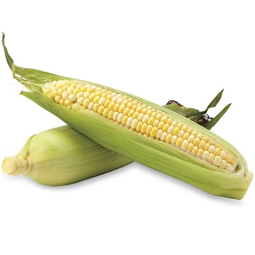 Bi-Color Corn