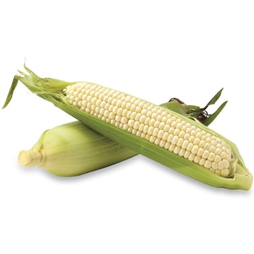 Bulk Sweet Corn