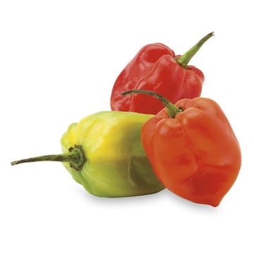 Habanero Peppers
