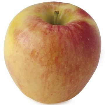 Ambrosia Apples Large