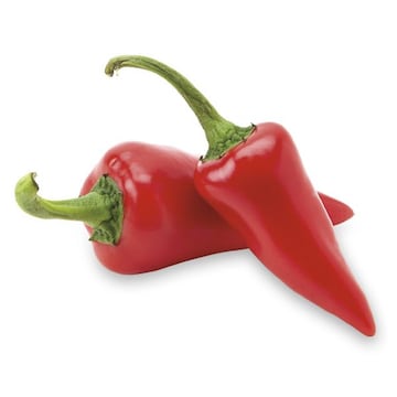 Red Chile Peppers
