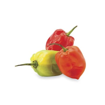 Red Habanero Peppers