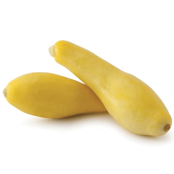 Yellow Squash