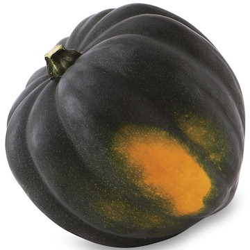 Acorn Squash