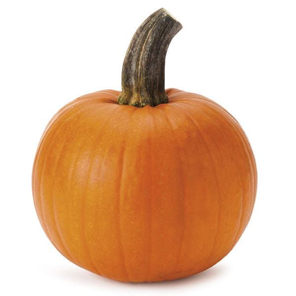 Pie Pumpkins Publix Super Markets