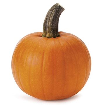 Pie Pumpkins