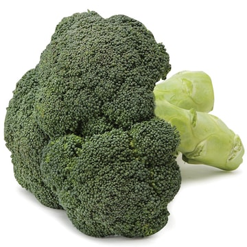 Broccoli Organic
