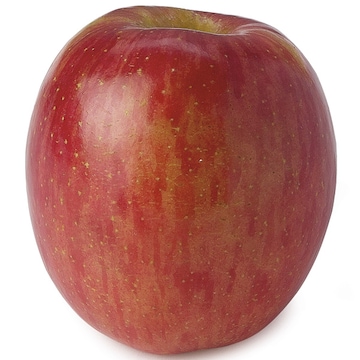 Fuji Apples Large