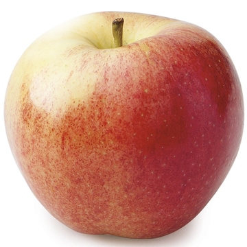 Gala Apples Large