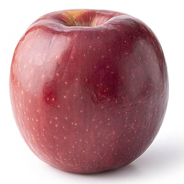 Organic Large Cosmic Crisp Apples, Large/ 1 Count - Kroger