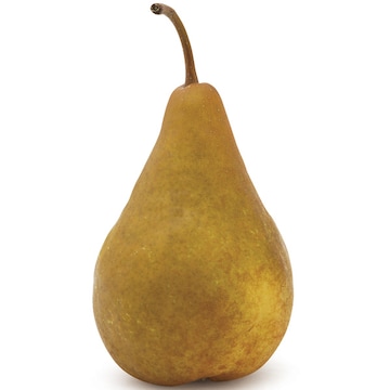 Bosc Pears