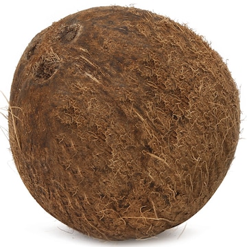 Coconut
