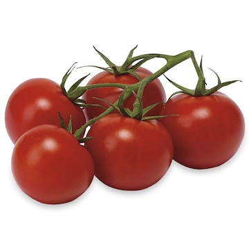 Organic Tomatoes on the Vine