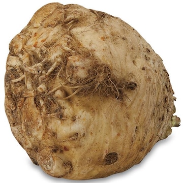 Celery Root