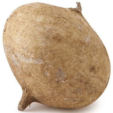 Jicama Root