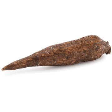 Yuca Root