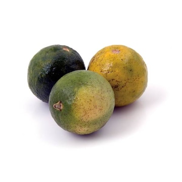 Sour Oranges